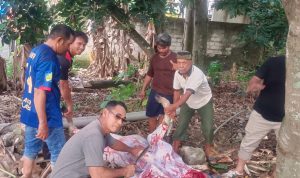 IMG-20260528-WA0017